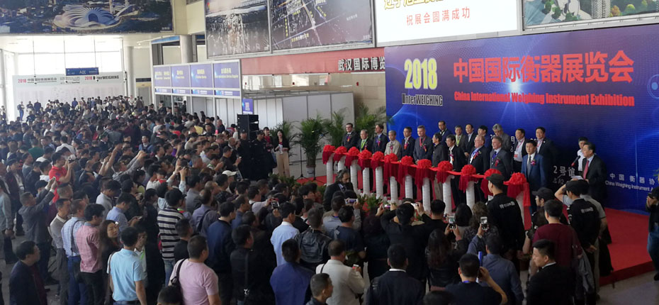 稱重儀表,壓力變送器,稱重傳感器,防爆電子秤,無線軸重秤軸重儀,吊鉤秤-Phishine合肥菲軒電子科技有限公司 稱重儀表,壓力變送器,稱重傳感器,防爆電子秤,無線軸重秤軸重儀,吊鉤秤-Phishine合肥菲軒電子科技有限公司