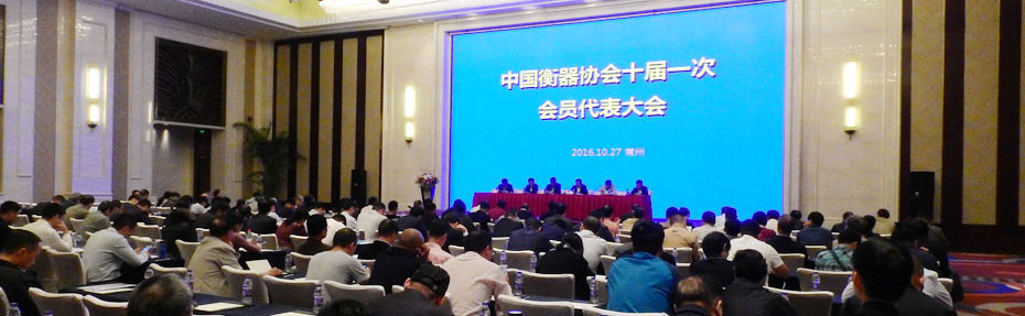 稱重儀表,壓力變送器,稱重傳感器,防爆電子秤,無線軸重秤軸重儀,吊鉤秤-Phishine合肥菲軒電子科技有限公司
