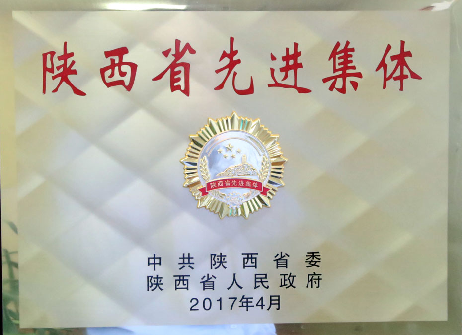 稱重儀表,壓力變送器,稱重傳感器,防爆電子秤,無線軸重秤軸重儀,吊鉤秤-Phishine合肥菲軒電子科技有限公司
