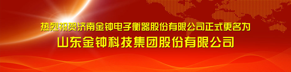 稱(chēng)重儀表,壓力變送器,稱(chēng)重傳感器,防爆電子秤,無(wú)線軸重秤軸重儀,吊鉤秤-Phishine合肥菲軒電子科技有限公司