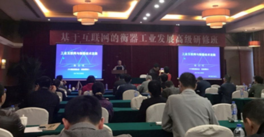 稱重儀表,壓力變送器,稱重傳感器,防爆電子秤,無線軸重秤軸重儀,吊鉤秤-Phishine合肥菲軒電子科技有限公司