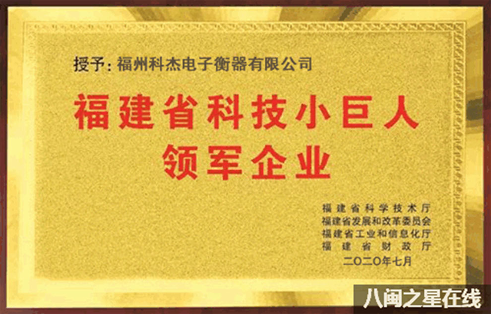 稱重儀表,壓力變送器,稱重傳感器,防爆電子秤,無線軸重秤軸重儀,吊鉤秤-Phishine合肥菲軒電子科技有限公司