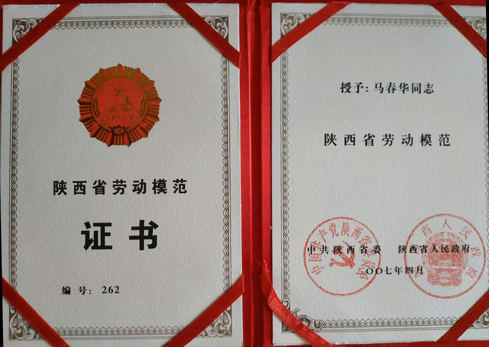 稱重儀表,壓力變送器,稱重傳感器,防爆電子秤,無(wú)線軸重秤軸重儀,吊鉤秤-Phishine合肥菲軒電子科技有限公司