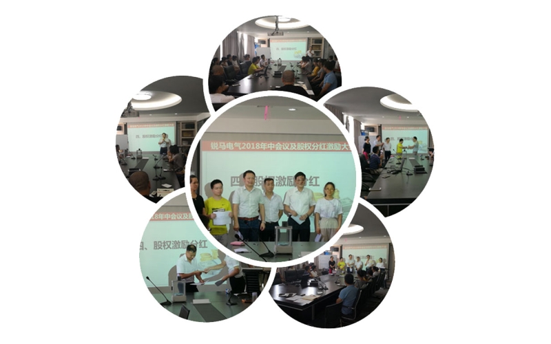 不忘初心，砥礪前行 銳馬電氣舉行2018年中會議及股權激勵分紅大會